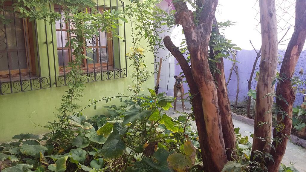 Hospedaje La Rana Buenos Aires Buitenkant foto
